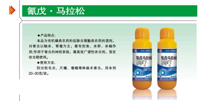 氰戊o马拉松